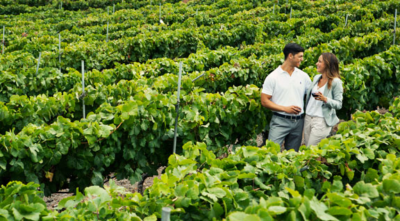 bodegas2