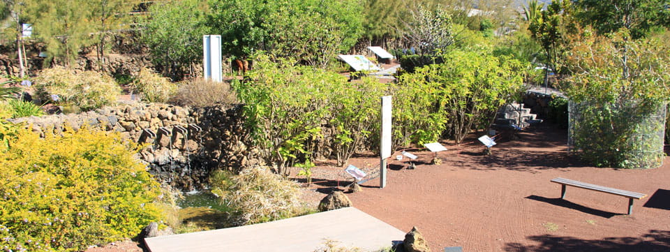 Jardín Botánico Pirámides de Güímar