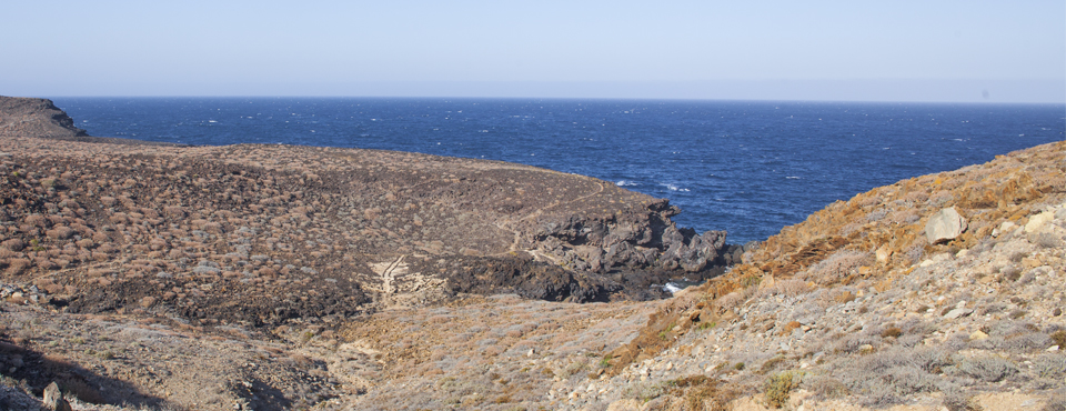 Tabaibal del Porís