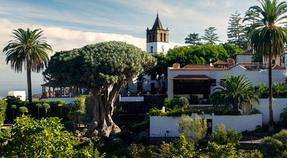 Icod de los Vinos